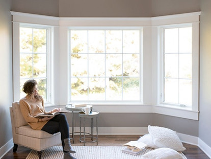 Park Ridge Bay and Bow Windows