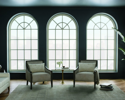 Park Ridge Picture Windows