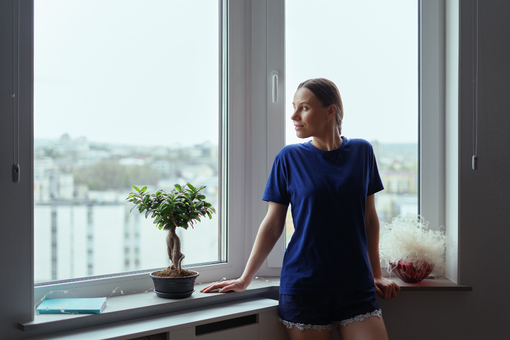 Park Ridge Bay & Bow Windows